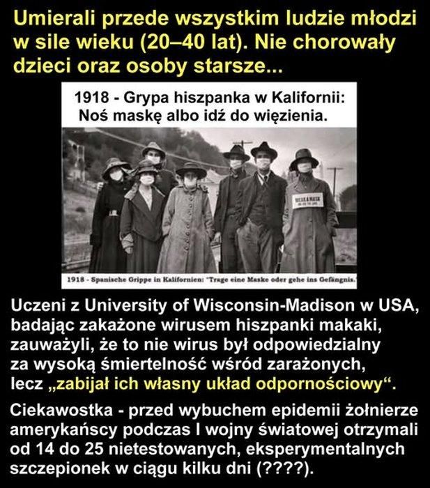 grafika 104